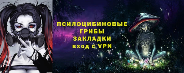 хмурый Надым
